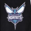 Charlotte Hornets Script Tail Wool Black Varsity Jacket 4