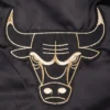 Chicago Bulls Black & Gold Varsity Black Jacket 4
