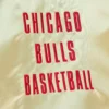 Chicago Bulls Team OG 2.0 Satin Golden Varsity Jacket 3