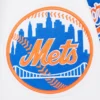 New York Mets Script Tail Wool & Leather Varsity Jacket 6