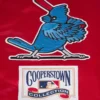 St. Louis Cardinals Retro Classic Women’s Full-Snap Satin Varsity Red Jacket 10