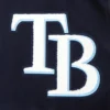 Tampa Bay Rays Mashup NavyWhite Wool & Leather Varsity Jacket 4