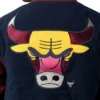 The Chicago Bulls Color Pack Wool Jacket 4