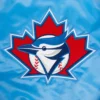 Toronto Blue jays Retro Classic Womens Full Snap Blue Satin Varsity Jacket 8